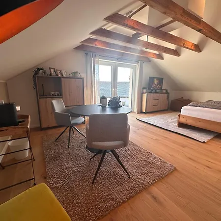 Alb - Gemuetliche Mit Balkon Apartment Balingen