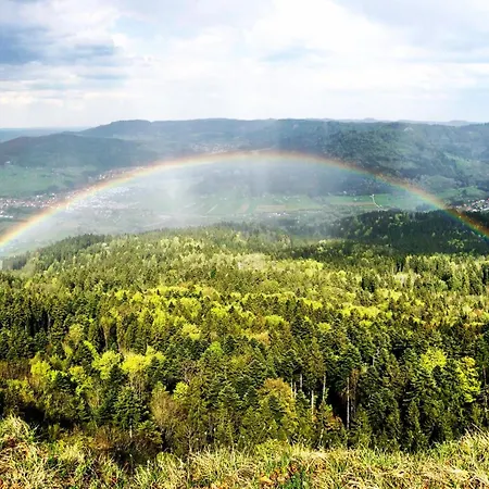 Alb - Gemütliche Mit Balkon * Balingen